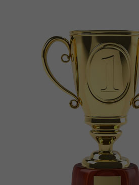 Diverse rewards